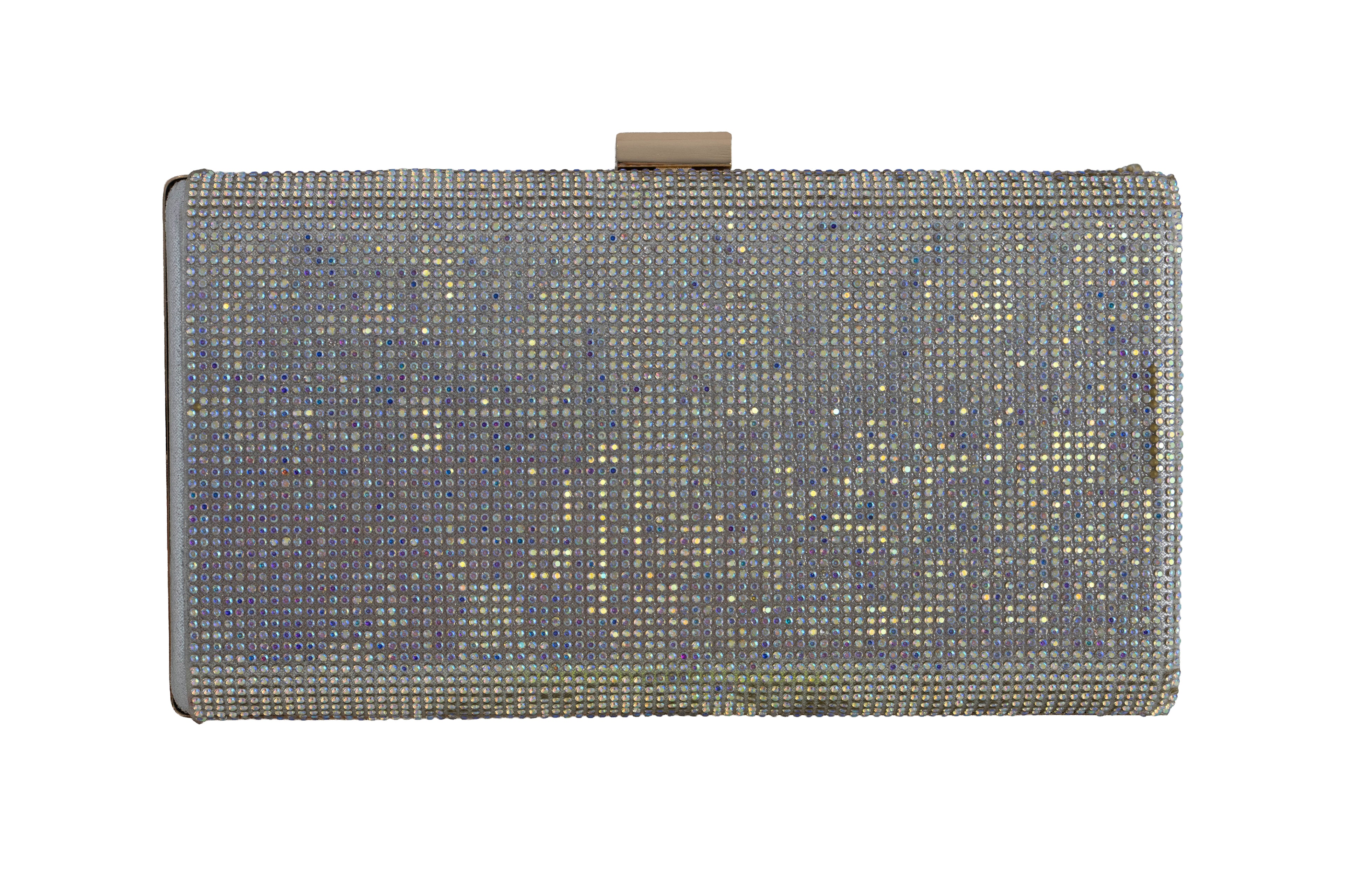 Silver clutch with rhinestone embellishments 